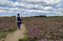 Half Day Hiking Tour in Beautiful Estonian Nature