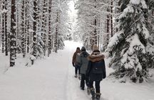 Half Day Hiking Tour in Beautiful Estonian Nature
