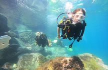 Discover Scuba Dive in Gran Canaria