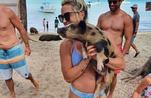 Powerboat and Snorkel Experience with Swimming Pigs and Turtles