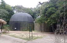 Tour at the MUSA – Amazon Museum in Manaus Amazon Experience