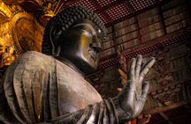 Osaka & Nara in 1-Day by Private Van with Local Japanese Guide