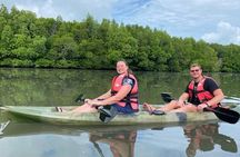 Langkawi Mangrove Kayaking Adventure With Nature Explorer