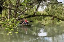 Langkawi Mangrove Kayaking Adventure With Nature Explorer