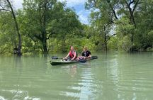 Langkawi Mangrove Kayaking Adventure With Nature Explorer