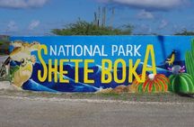 Best of the West: Shete Boka, Flamingos, Kalki Beach and Kenepa”