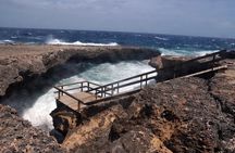 Best of the West: Shete Boka, Flamingos, Kalki Beach and Kenepa”