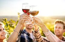 Private Wine Tasting Tour in Yamanashi Prefecture