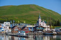Goðafoss and Húsavík with a stop at the Geosea Baths