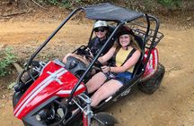 Roatan Jungle ATV Buggy Tour with Sloths & Historical Beach Stop