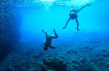 Private RIB Adventure in Paxos and Antipaxos