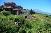 Winery Tour and Tasting in Tenerife with the Sommelier