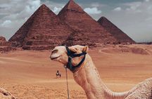 Private Day Tour to Giza Pyramids, Saqqara, and Memphis