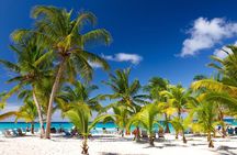 Catamaran Cruise to Saona with Lunch and Natural Swimming Pool