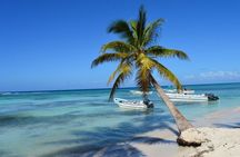 Catamaran Cruise to Saona with Lunch and Natural Swimming Pool