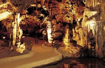 Half Day Hato Cave, Flamingo & Beach Tour