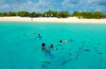 Private Boat Snorkel tour to Klein Bonaire