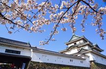 The Best of Wakayama City Private Tour