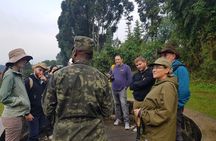 Gorilla Trekking Adventure - A Day trip (Only transfer)