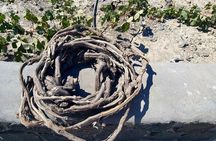 Private Santorini Wine Tasting Tour, 3 Wineries and Light Bites 