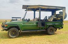 3 Days Masai Mara Flight Safari