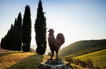 Semi Private Deep Wine Chianti and San Gimignano from Florence