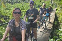 Bangkok Oasis Breezy Bike Tour 