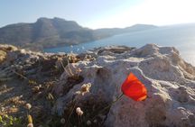 All in One Full Day Rhodes Island Tour for First Time Visitors