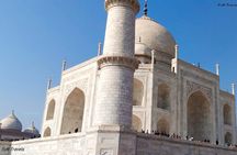 Taj Mahal & Agra Fort Historical Experience From Delhi