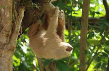 Skip the Line: Diamante Eco Adventure Park: Animal Sanctuary Discovery Ticket