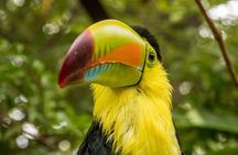 Skip the Line: Diamante Eco Adventure Park: Animal Sanctuary Discovery Ticket