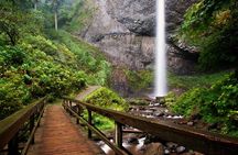 Columbia Gorge Waterfalls: Botanical Discovery Hike
