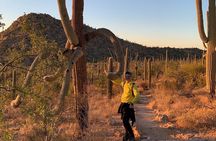 Saguaro National Park Guided Hikes