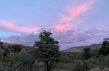 Saguaro National Park Guided Hikes
