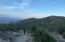 Saguaro National Park Guided Hikes