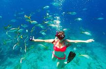 Snorkeling Lunch party West End. Roatans Tiki Catamaran Boat