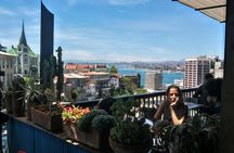 Viña and Valparaíso's Tour