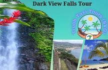 Dark View Falls Tour with Trubb Taxi Tours SVG