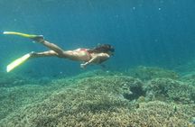 Snorkeling Day Trip to Nusa Lembongan and Nusa Penida