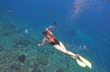 Snorkeling Day Trip to Nusa Lembongan and Nusa Penida