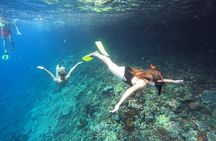 Snorkeling Day Trip to Nusa Lembongan and Nusa Penida
