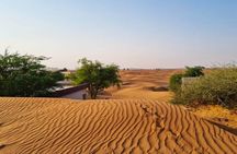 The Ghost Village Safari with Bedouin Camp and Barbeque Dinner 