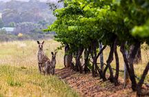 Fully Private and Customisable Hunter Valley Wine Tour