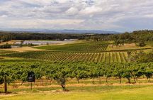 Fully Private and Customisable Hunter Valley Wine Tour