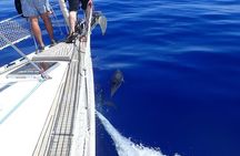 Private Full Day Cruise Tour in Naxos Town