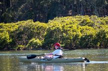Bermagui River Kayak Tour