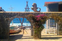 Isla Negra Tour