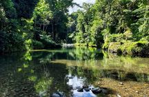 Rainforest and Junglequi Zipline Combo Tour