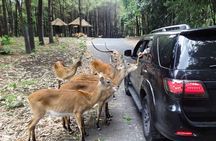 Private Tour To Safari Park & Waterfall (From Surabaya/Malang)