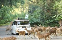 Private Tour To Safari Park & Waterfall (From Surabaya/Malang)